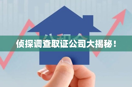 晋江侦探调查取证公司大揭秘！