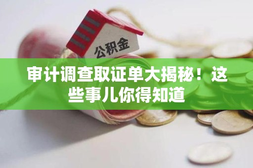 晋江审计调查取证单大揭秘！这些事儿你得知道