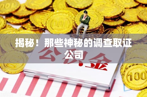晋江揭秘！那些神秘的调查取证公司
