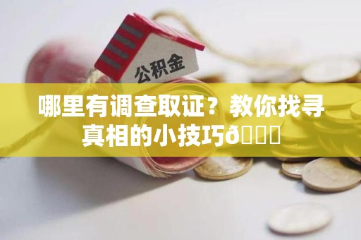 晋江哪里有调查取证？教你找寻真相的小技巧😎