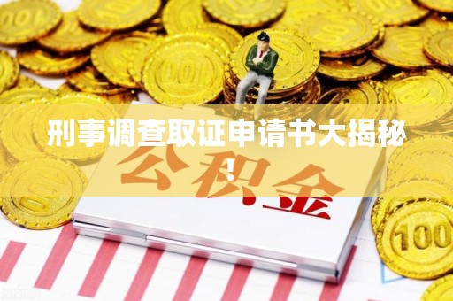 晋江刑事调查取证申请书大揭秘！