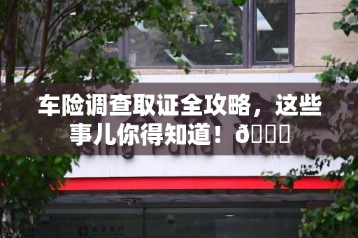 晋江车险调查取证全攻略，这些事儿你得知道！😎