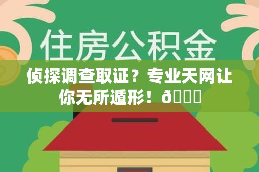 晋江侦探调查取证？专业天网让你无所遁形！😎