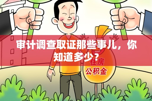 晋江审计调查取证那些事儿，你知道多少？