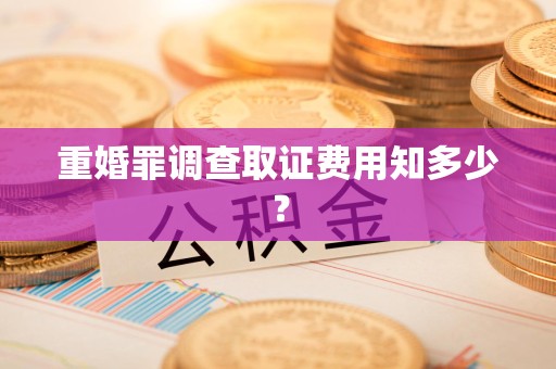 晋江重婚罪调查取证费用知多少？