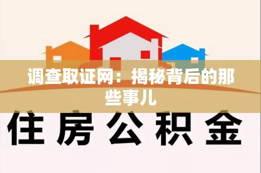 晋江调查取证网：揭秘背后的那些事儿