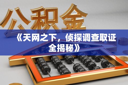 晋江《天网之下，侦探调查取证全揭秘》