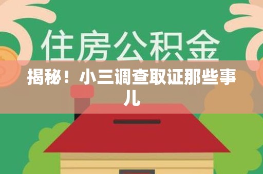 晋江揭秘！小三调查取证那些事儿