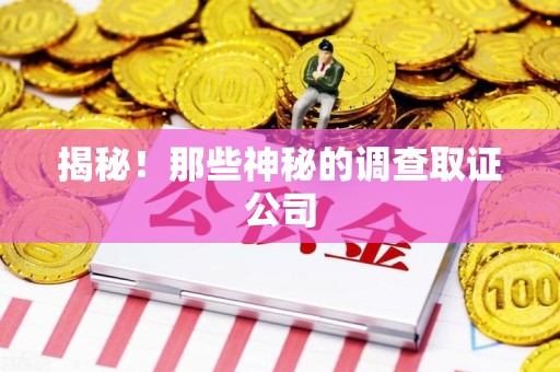 晋江揭秘！那些神秘的调查取证公司
