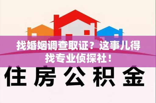晋江找婚姻调查取证？这事儿得找专业侦探社！