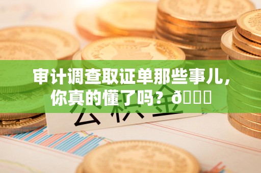 晋江审计调查取证单那些事儿，你真的懂了吗？😎
