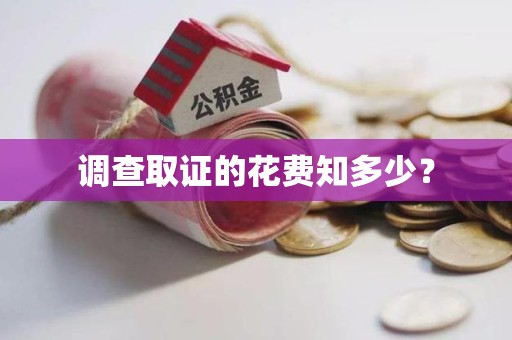 晋江调查取证的花费知多少？